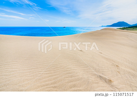 鳥取砂丘　風紋の砂丘と日本海 115071517