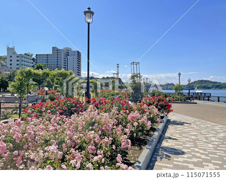 横須賀ヴェルニー公園　神奈川県横須賀市汐入町 115071555
