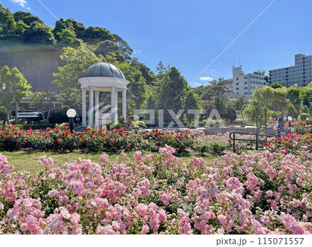 横須賀ヴェルニー公園　神奈川県横須賀市汐入町 115071557