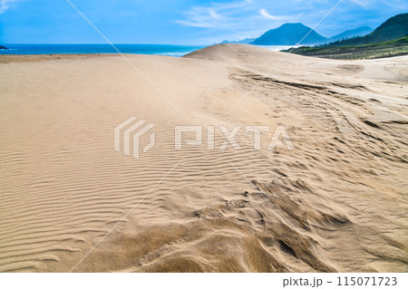 鳥取砂丘　雨上がりの砂丘 115071723