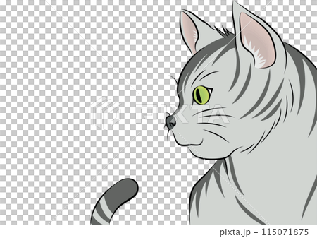 Yellow Cat Yellow Cat 115071875