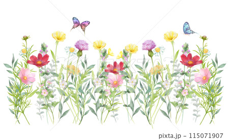 いろいろな花の花畑と蝶々の水彩画 115071907