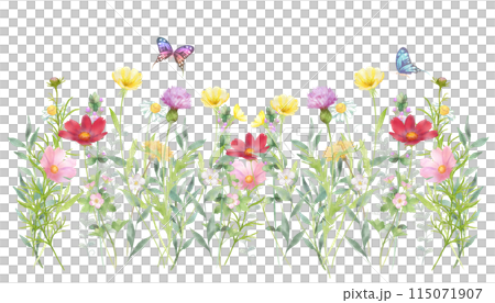 いろいろな花の花畑と蝶々の水彩画 115071907