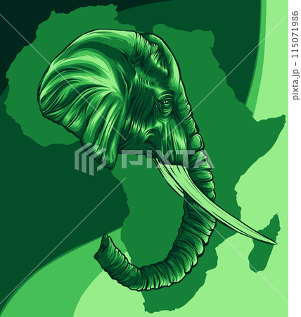 vector colored illustration of an African elephant head. vector colored illustration of an African elephant head. 115071986