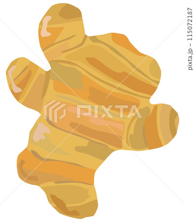 シンプルな生姜のイラスト ベクター素材 115072187