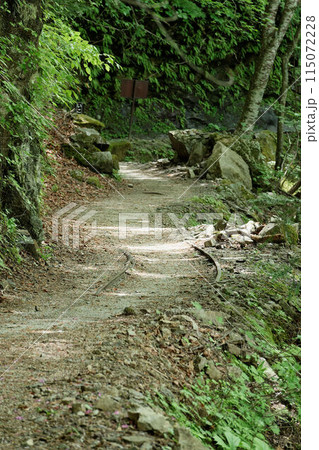 西沢渓谷、トロッコ軌道跡 115072228