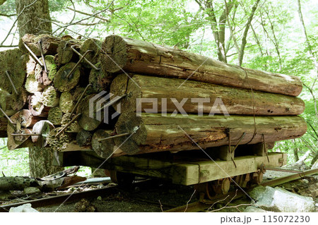 西沢渓谷、トロッコ 115072230