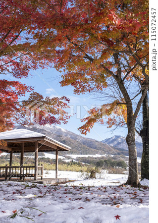 紅葉と雪景色 蒜山高原 紅葉と雪景色 蒜山高原 115072457