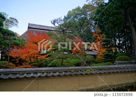 秋化粧の上野公園 秋化粧の上野公園 115072698