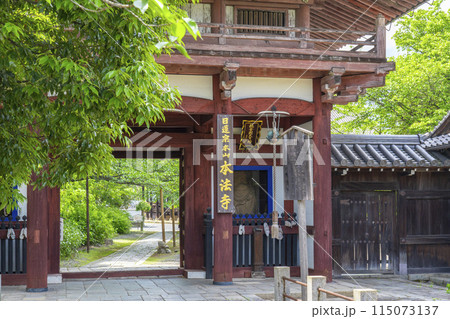 京都　本法寺　新緑に包まれた仁王門 115073137
