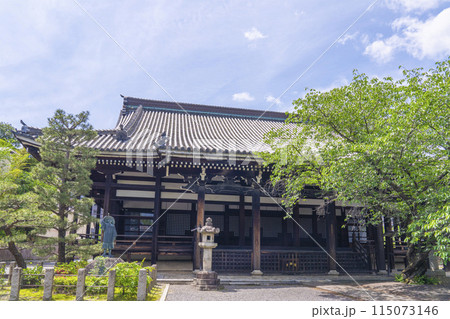 新緑の京都 本法寺 本堂と光悦翁手植之松 新緑の京都 本法寺 本堂と光悦翁手植之松 115073146