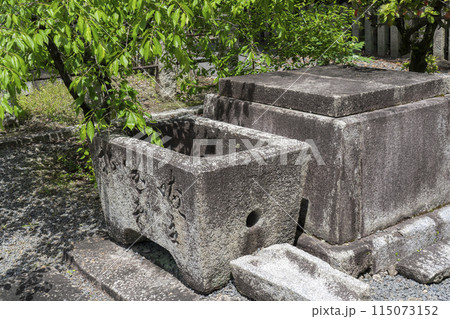 新緑の京都　本法寺　井戸のようなもの 115073152