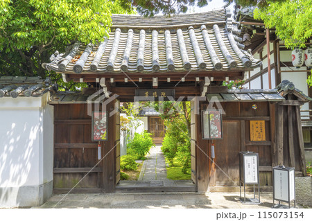 新緑の京都　本法寺塔頭　尊陽院 115073154