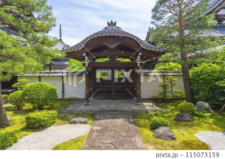 新緑の京都　本法寺　唐門の前に広がる十の庭 115073159
