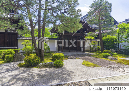 新緑の京都 本法寺 唐門の前に広がる十の庭 新緑の京都 本法寺 唐門の前に広がる十の庭 115073160