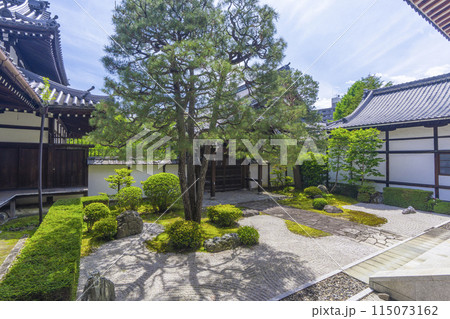 新緑の京都　本法寺　唐門の前に広がる十の庭 115073162