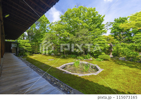 新緑の京都　本法寺　巴の庭 115073165