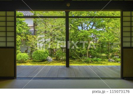 新緑の京都　本法寺　書院から見える巴の庭 115073176