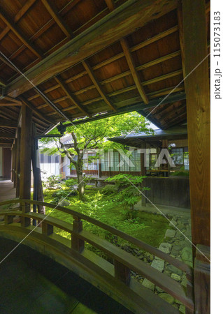 新緑の京都　本法寺　渡り廊下から見える蹲の庭 115073183