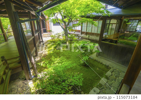 新緑の京都 本法寺 渡り廊下から見える蹲の庭 新緑の京都 本法寺 渡り廊下から見える蹲の庭 115073184
