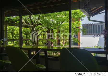 新緑の京都 本法寺 休憩室から見える蹲の庭 新緑の京都 本法寺 休憩室から見える蹲の庭 115073186