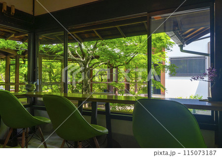 新緑の京都 本法寺 休憩室から見える蹲の庭 新緑の京都 本法寺 休憩室から見える蹲の庭 115073187