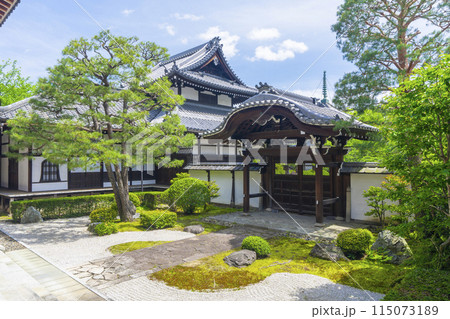 新緑の京都　本法寺　唐門の前に広がる十の庭 115073189