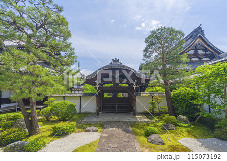 新緑の京都　本法寺　唐門の前に広がる十の庭 115073192