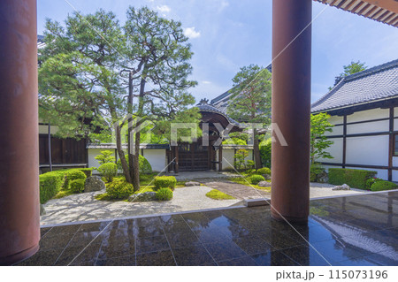 新緑の京都　本法寺　唐門の前に広がる十の庭 115073196