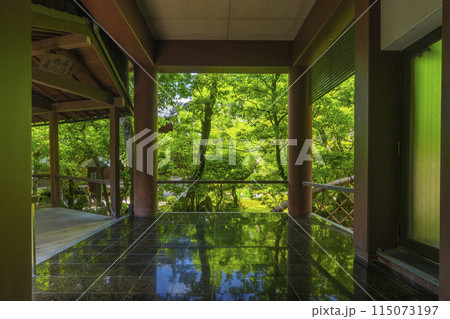 新緑の京都　本法寺　床に映る巴の庭 115073197