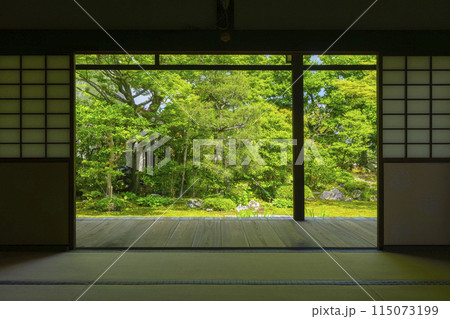 新緑の京都　本法寺　書院から見える巴の庭 115073199