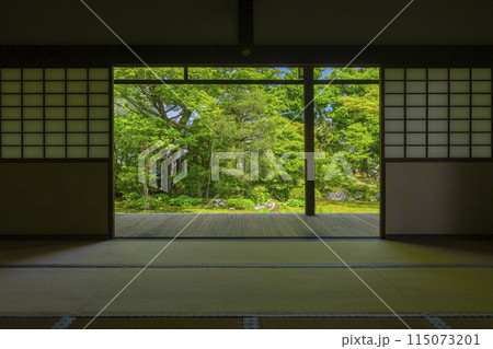 新緑の京都 本法寺 書院から見える巴の庭 新緑の京都 本法寺 書院から見える巴の庭 115073201