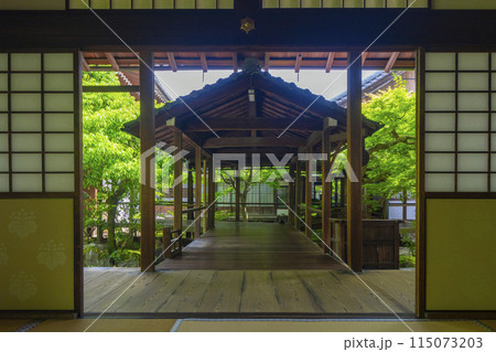 新緑の京都 本法寺 書院から見える蹲の庭 新緑の京都 本法寺 書院から見える蹲の庭 115073203