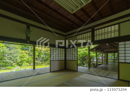 新緑の京都　本法寺　書院から見える巴の庭 115073204