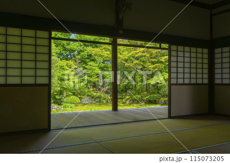 新緑の京都　本法寺　書院から見える巴の庭 115073205