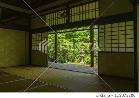 新緑の京都　本法寺　書院から見える巴の庭 115073206