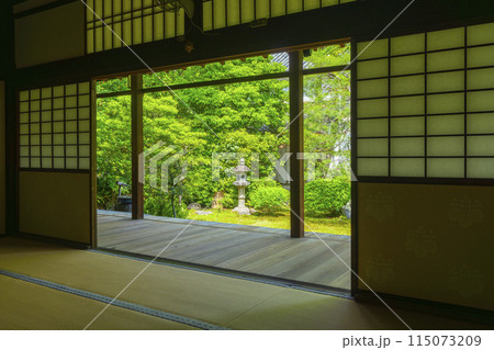 新緑の京都　本法寺　書院から見える巴の庭 115073209