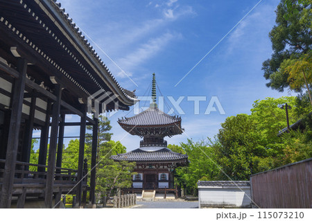 新緑の京都　本法寺　青空に映える多宝塔 115073210