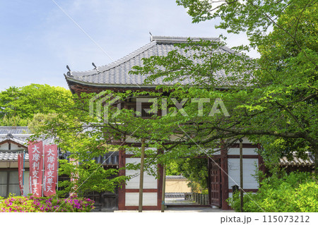 京都　本法寺　新緑に包まれた仁王門 115073212