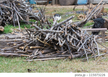 pile wood prepared for fuel. 115073226