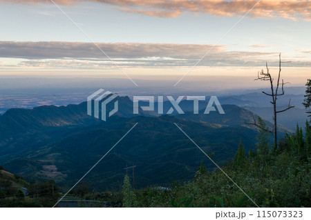 Nature landscape mountain forest, Morning spring countryside in Phu tub berk, Thailand 115073323