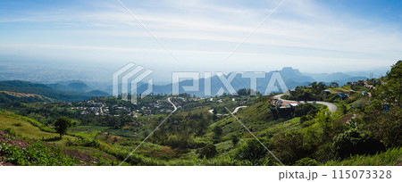 Nature landscape mountain forest, Morning spring countryside in Phu tub berk, Thailand 115073328