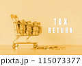 Tax Return, business concept background 115073377