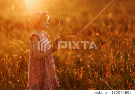 A young girl in a field of flowers, holding a bouquet of spikelets A young girl in a field of flowers, holding a bouquet of spikelets 115073695