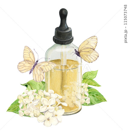 Fresh lilac flowers and a bottle of essential oil or infused water. Natural ingredient for cosmetics and perfumes. Aromatic hydrosol. Watercolor illustration with syringa and white butterflies. 115073748