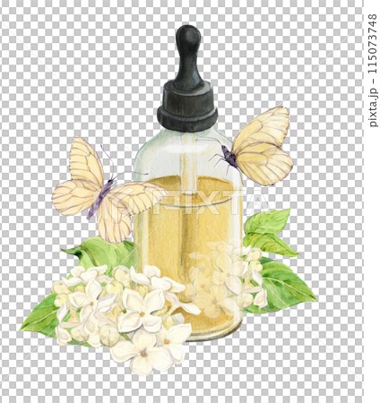 Fresh lilac flowers and a bottle of essential oil or infused water. Natural ingredient for cosmetics and perfumes. Aromatic hydrosol. Watercolor illustration with syringa and white butterflies. 115073748