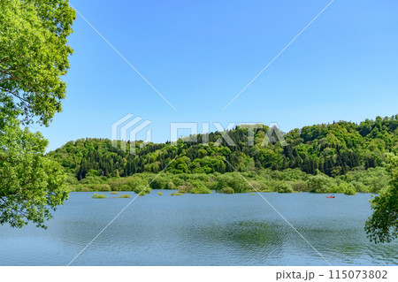 白川湖 青空と残雪と新緑の水没林 115073802