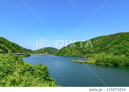 白川湖 青空と残雪と新緑の水没林 115073834