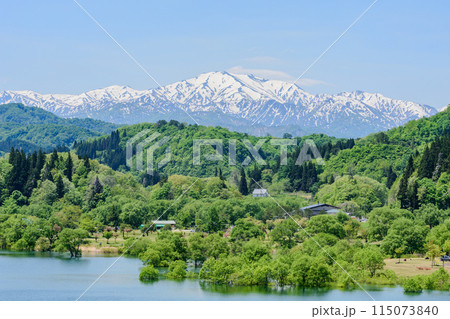 白川湖 青空と残雪と新緑の水没林 115073840