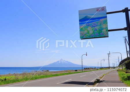 礼文島から眺める利尻富士 115074072